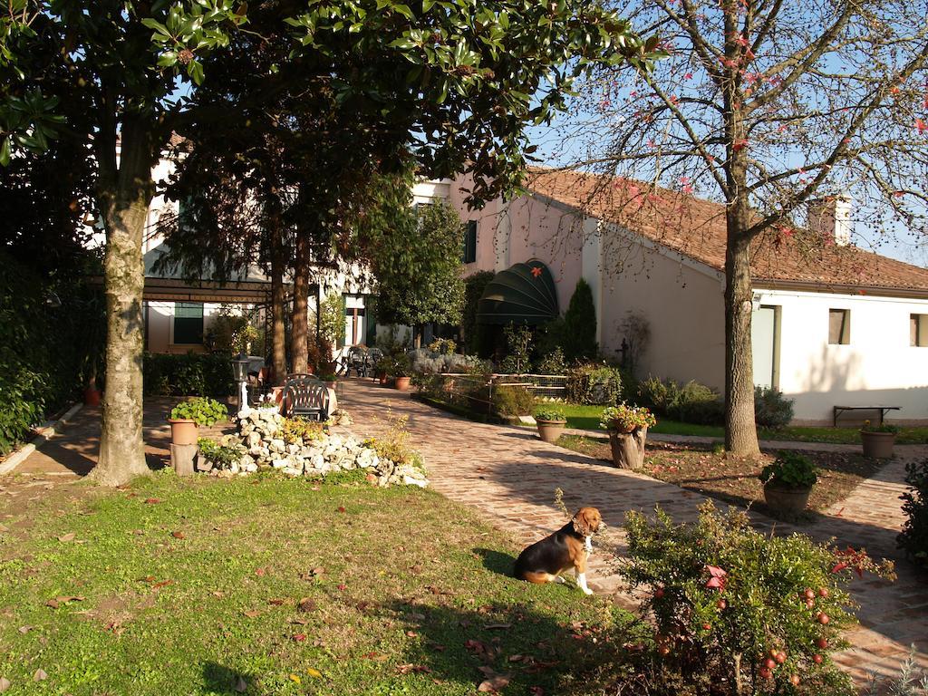 Agriturismo Le Clementine Badia Polesine المظهر الخارجي الصورة