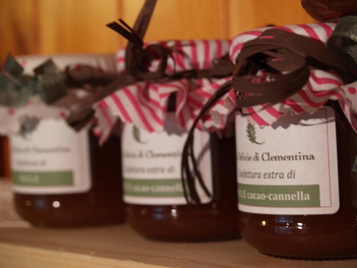 Agriturismo Le Clementine Badia Polesine المظهر الخارجي الصورة